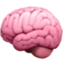 Brain